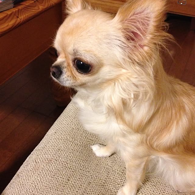 mamiさんの実例写真