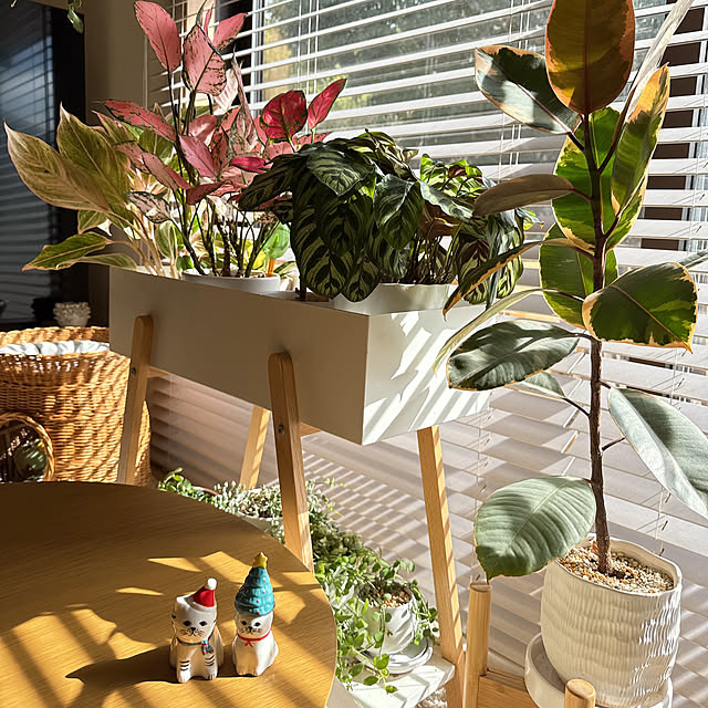 chinaさんの部屋