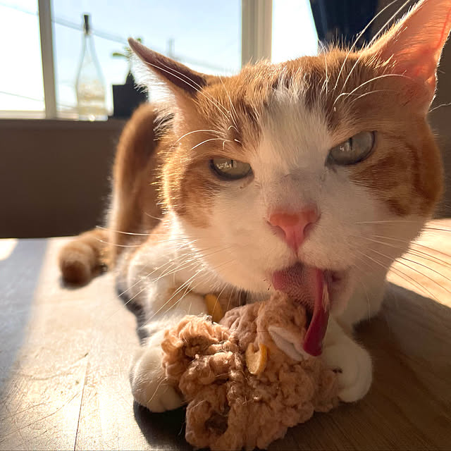 miecoroさんの実例写真