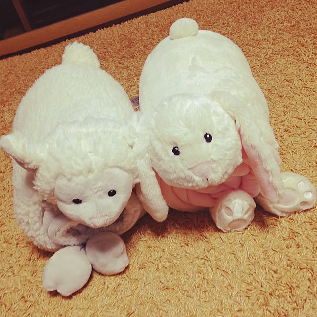 seikoさんの実例写真