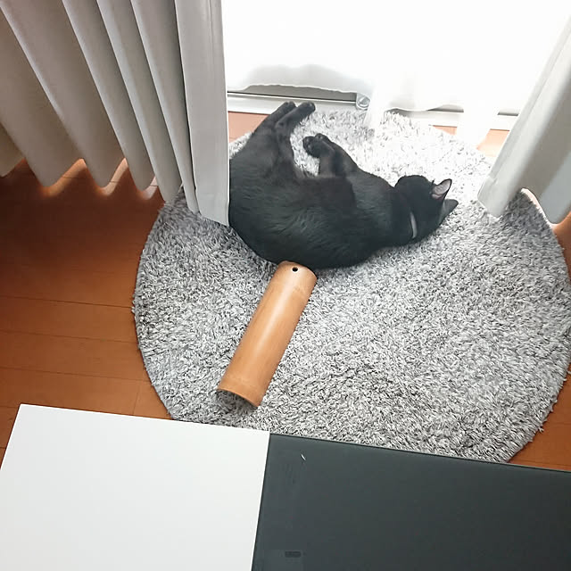 maikyさんの実例写真