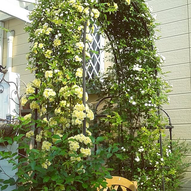 383junkさんの実例写真