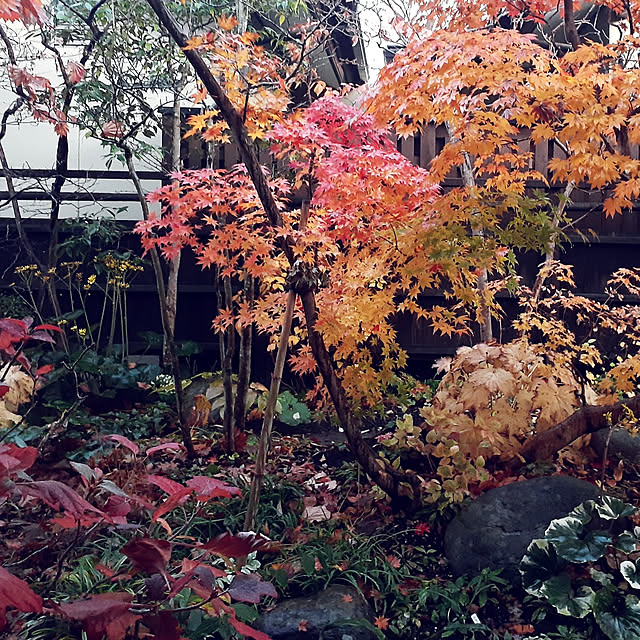 hana-さんの実例写真