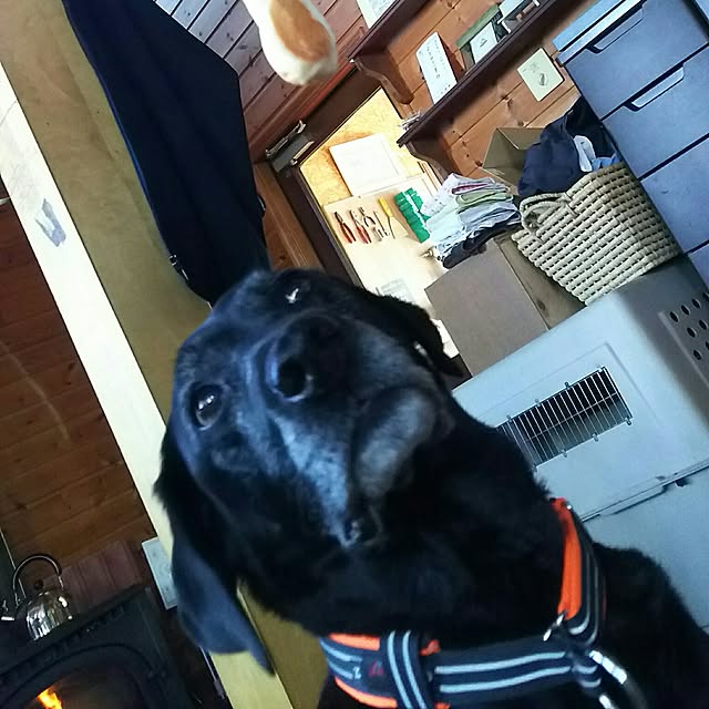 ohisamaさんの実例写真