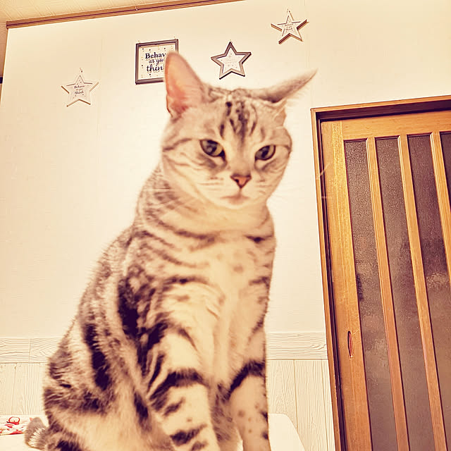 kumingさんの実例写真