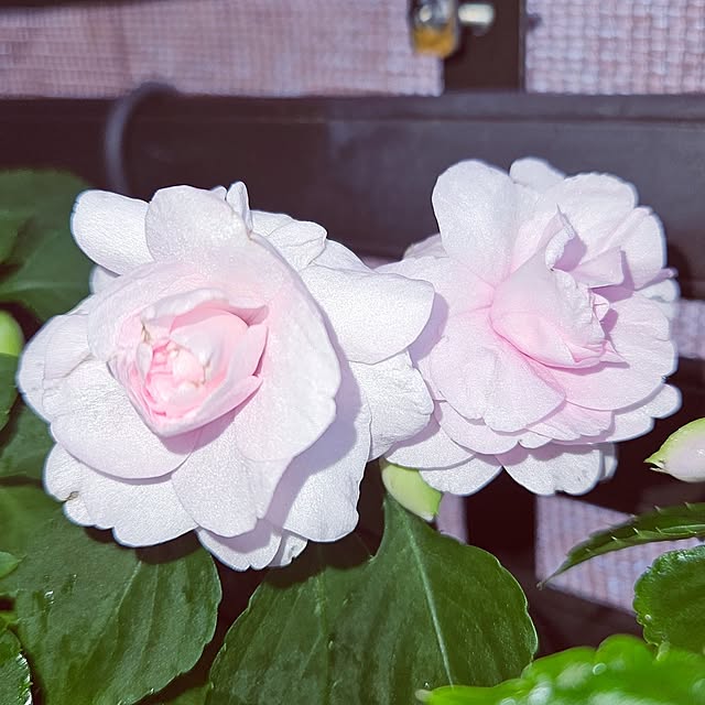 mocomocoさんの実例写真