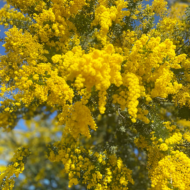 na-chanさんの部屋