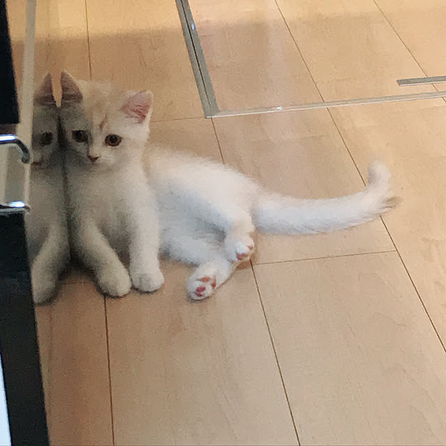 H.Tさんの実例写真