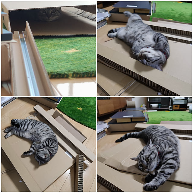 hiro3さんの実例写真