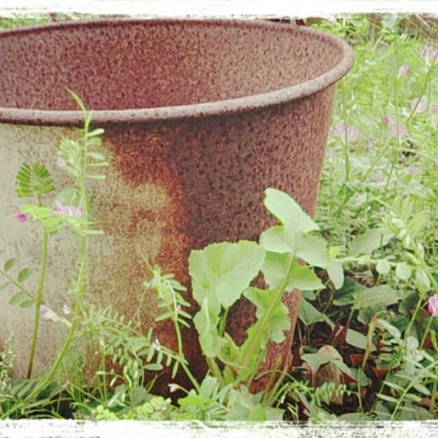 greenlifeさんの実例写真