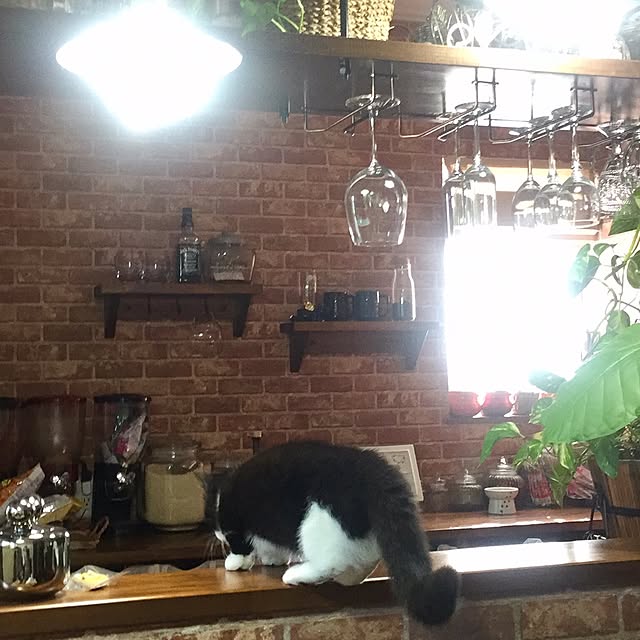 butachanさんの実例写真