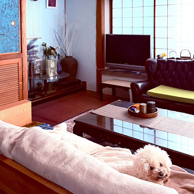 chacoさんの部屋