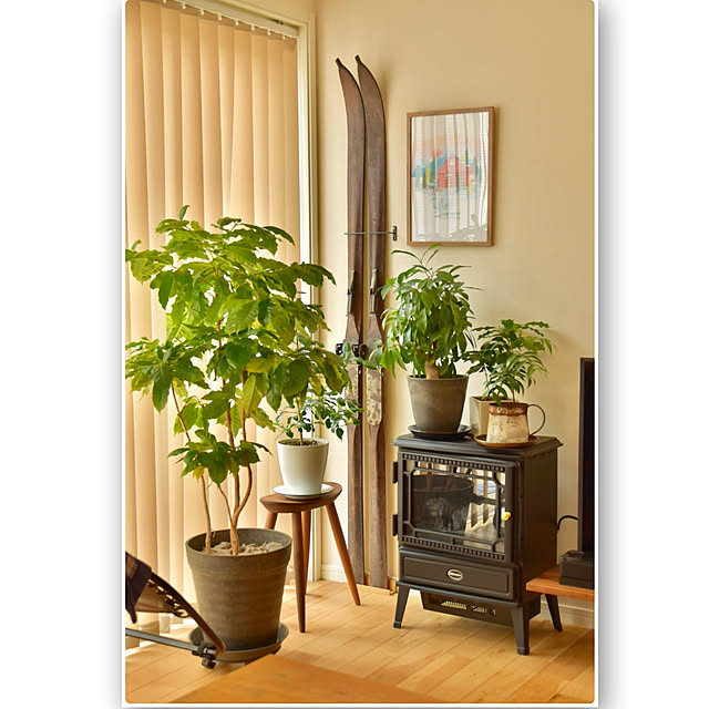 mikigumaさんの部屋