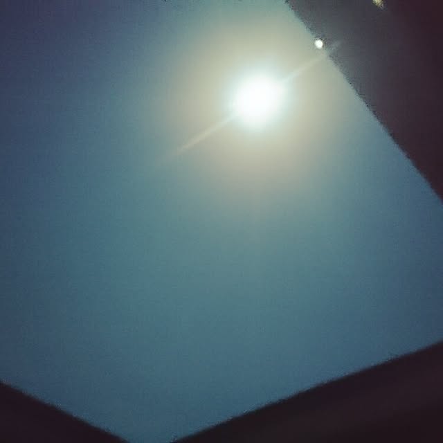 maotamayさんの実例写真