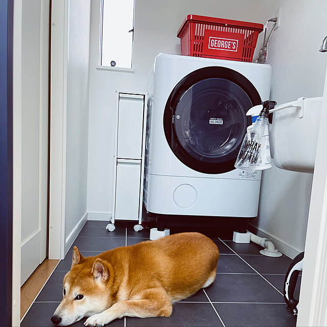 diez_taraさんの実例写真