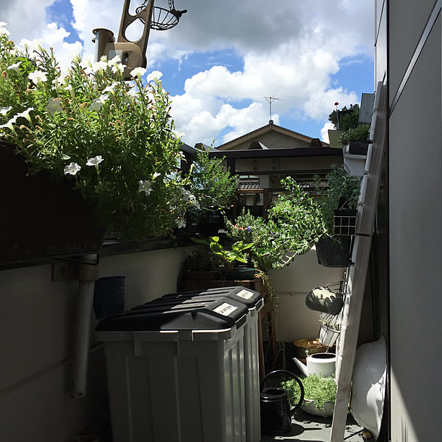 tocotoco.10さんの実例写真