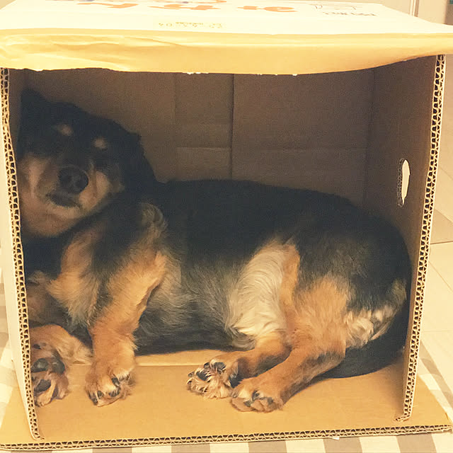 ohanaさんの実例写真