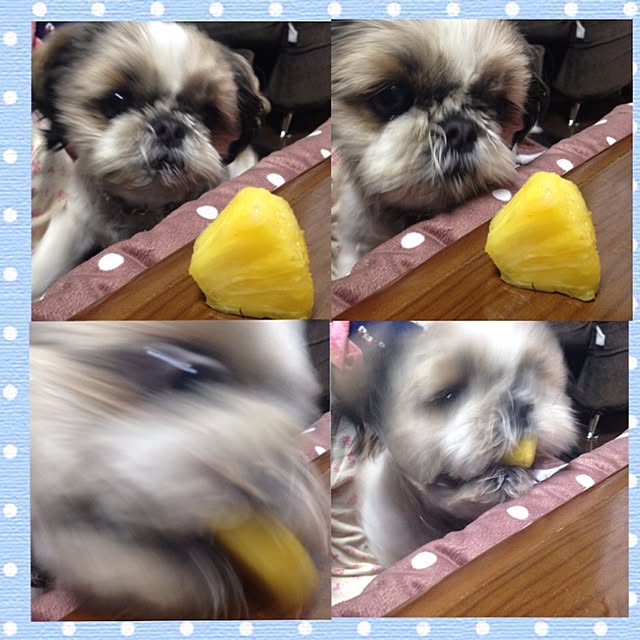 pepeさんの実例写真