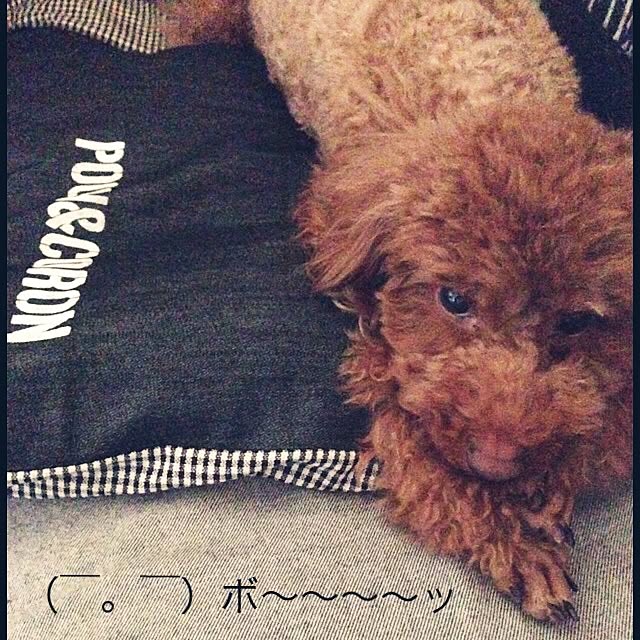 s.s.l_mikiさんの実例写真