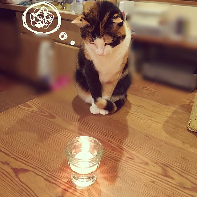 mayugonさんの実例写真