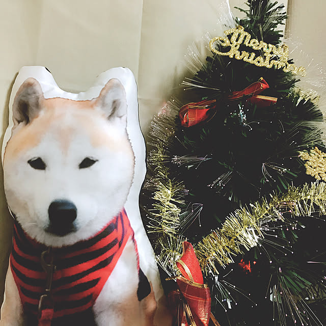 harukaさんの実例写真