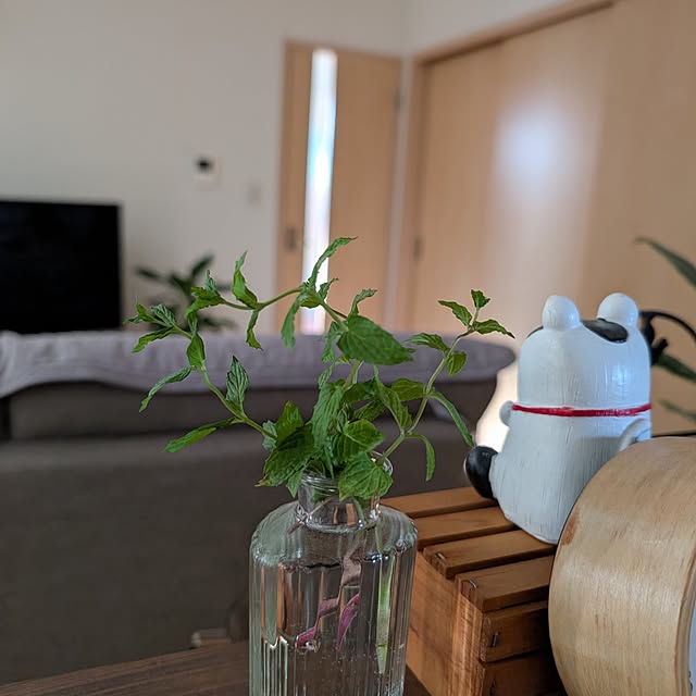 KOHAKUさんの実例写真