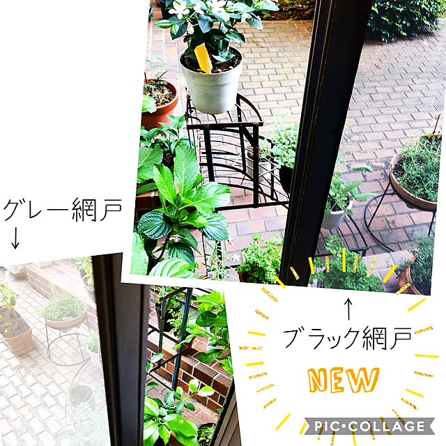 buntanさんの実例写真