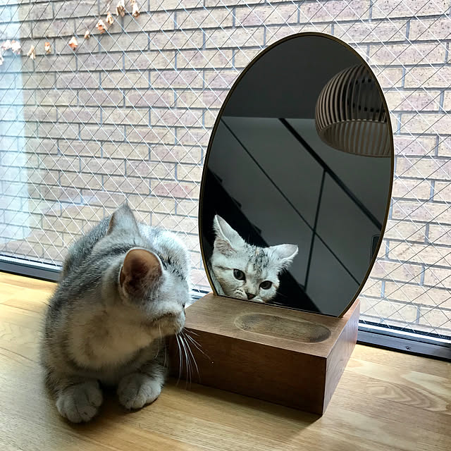 kaedeさんの実例写真