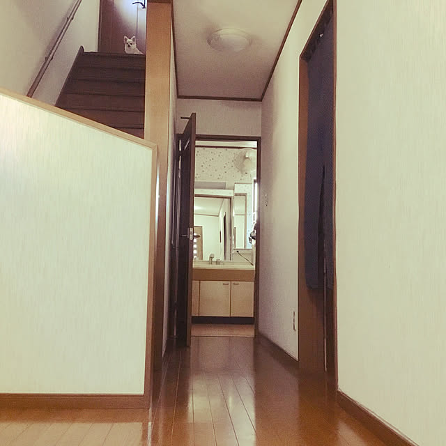 バス/トイレ/ペットと暮らす家のインテリア実例 - 2018-08-14 15:17:59