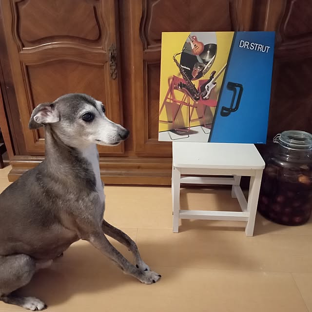 moruさんの実例写真