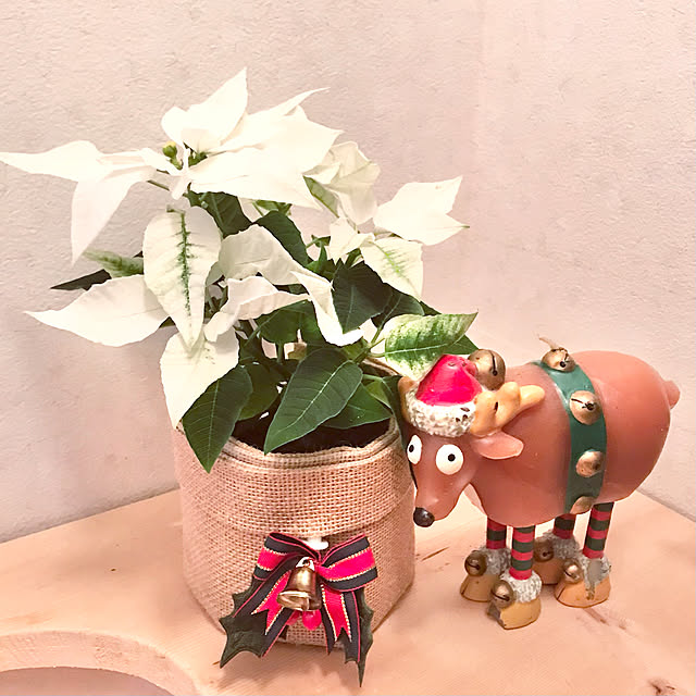 tararaさんの実例写真