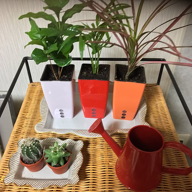chi_sanさんの実例写真