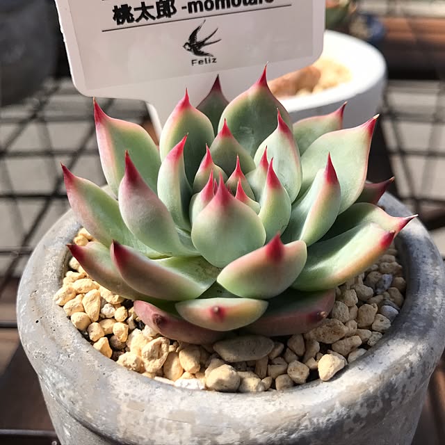 akakou88629さんの実例写真