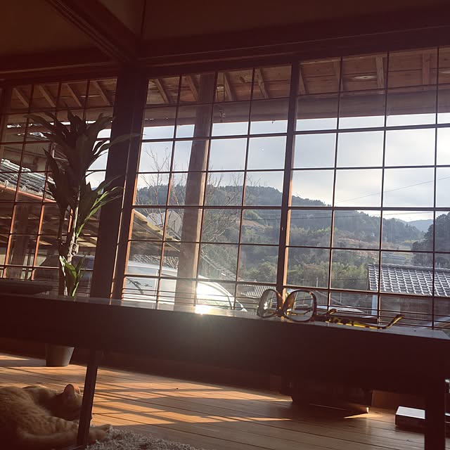 fujikadoさんの実例写真