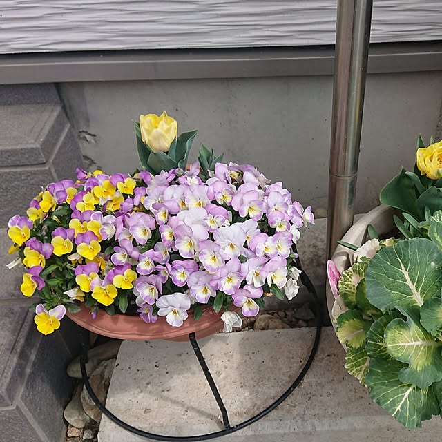 yukimamaさんの実例写真