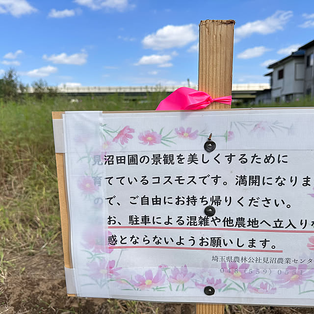 mizucchiさんの部屋