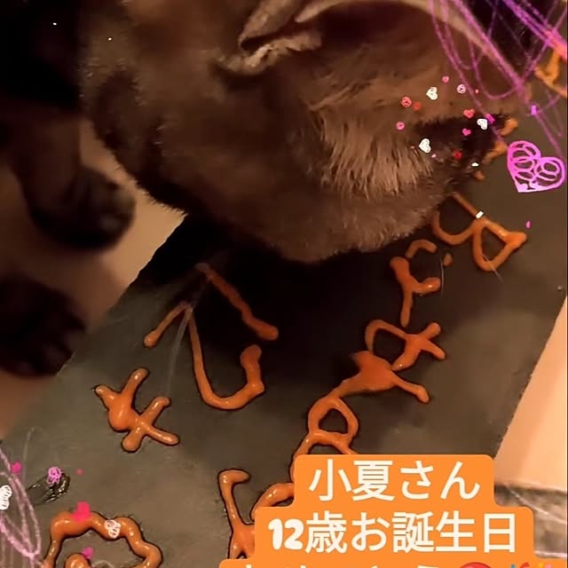 Yoko622さんの実例写真