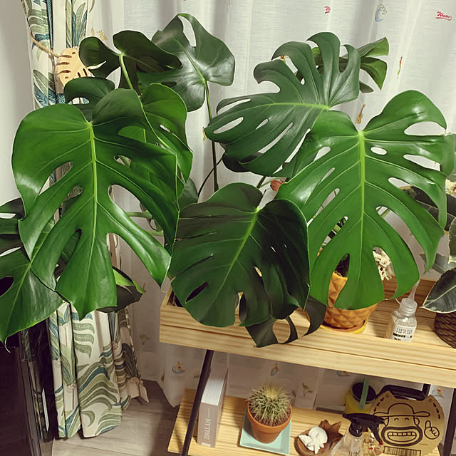 RYOさんの部屋