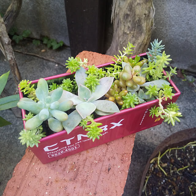 microさんの実例写真