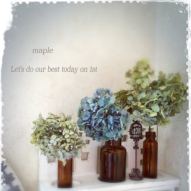 mapleさんの実例写真
