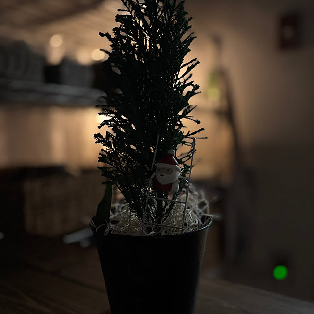 canetteさんの実例写真