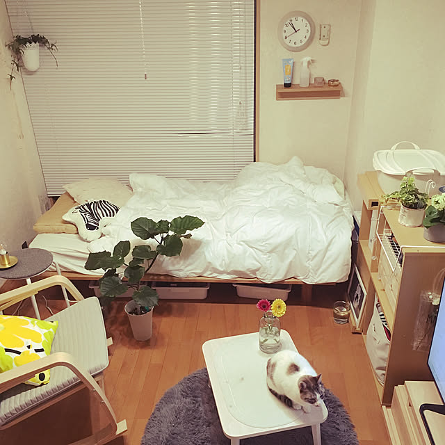 asami999さんの実例写真