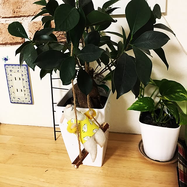 tyonkoさんの実例写真