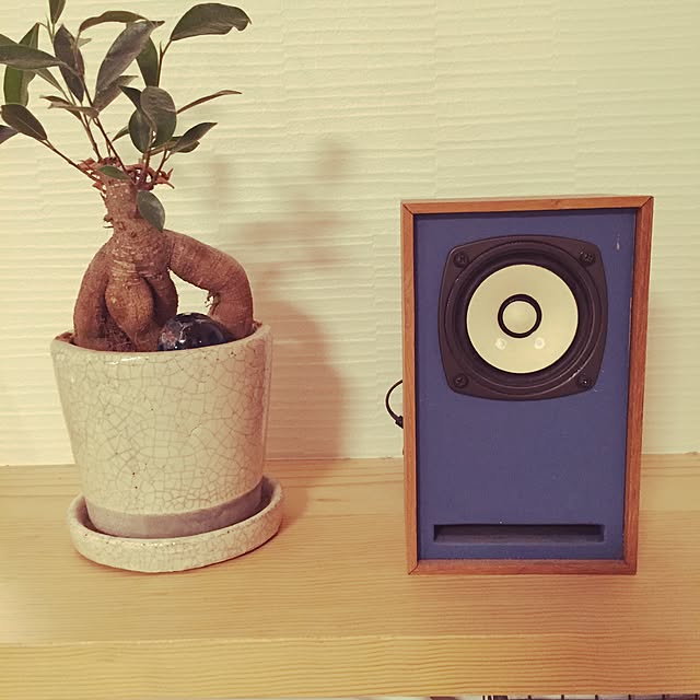 apaさんの実例写真