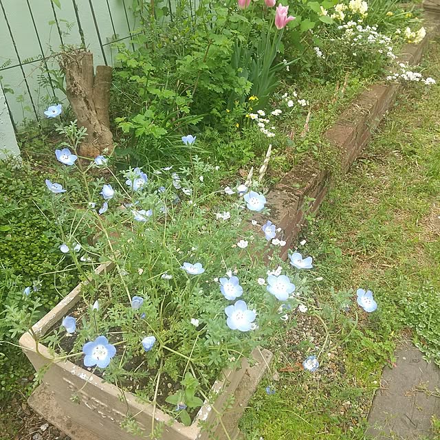 Rさんの部屋