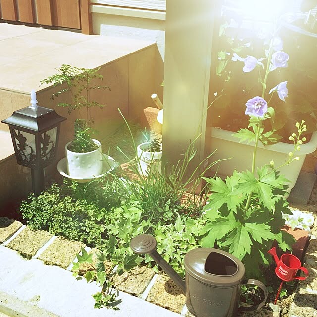 k.risa.s-.-y.familyさんの実例写真