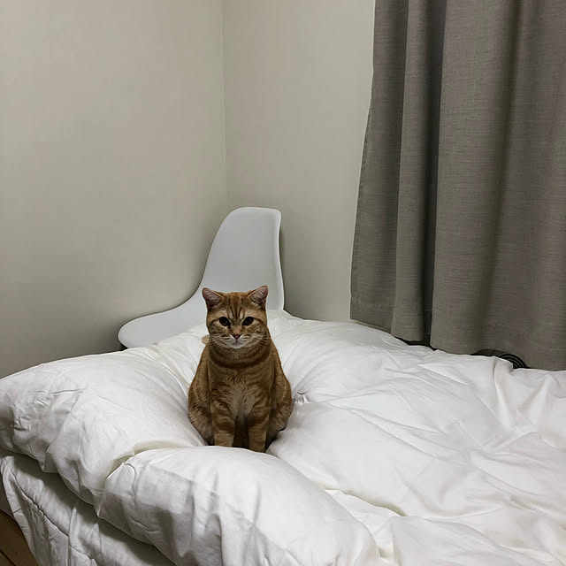 Atelier.mさんの実例写真