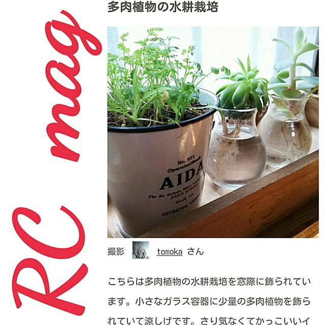 tomokaさんの実例写真