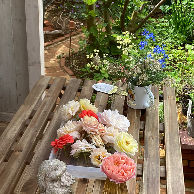 ekkoさんの部屋