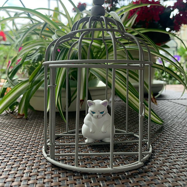 Aqettyさんの実例写真